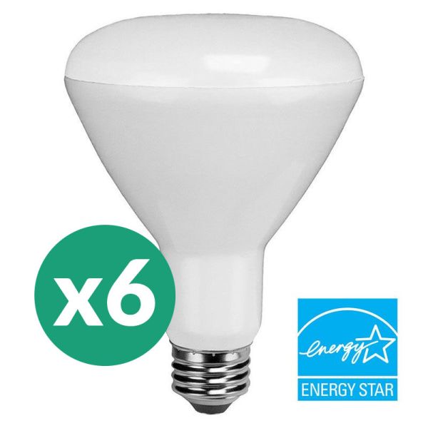65w equivalent BR30 Reflector Light Bulb 6-pack